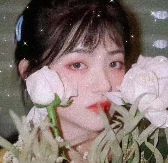 岛：消失的人们